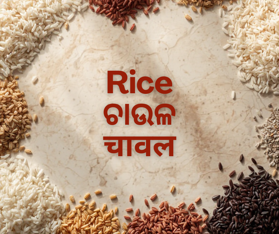RICE